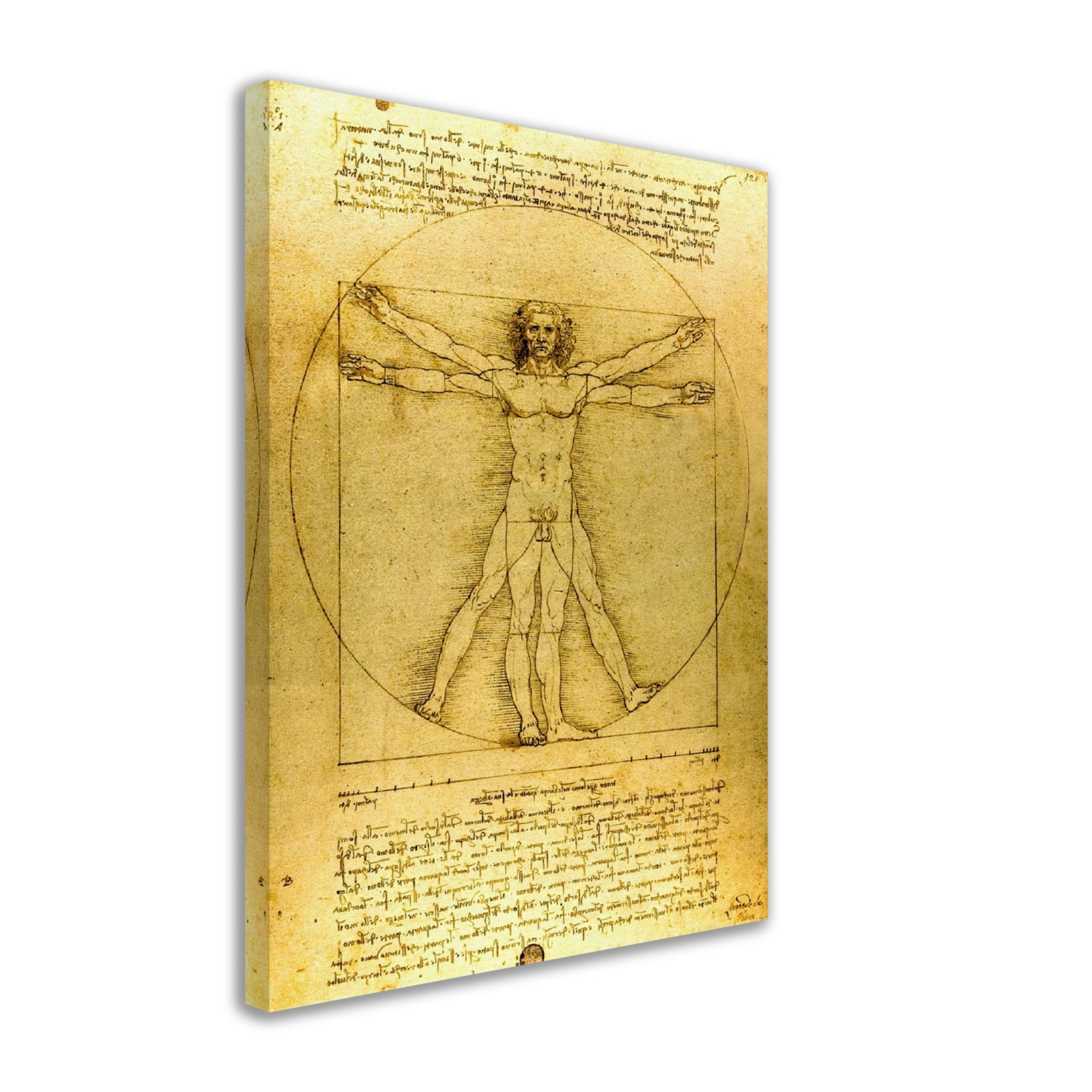 Vitruvian Man Canvas Print, Leonardo Da Vinci 1490, Vintage Vitruvian Man Canvas Print - WallArtPrints4U