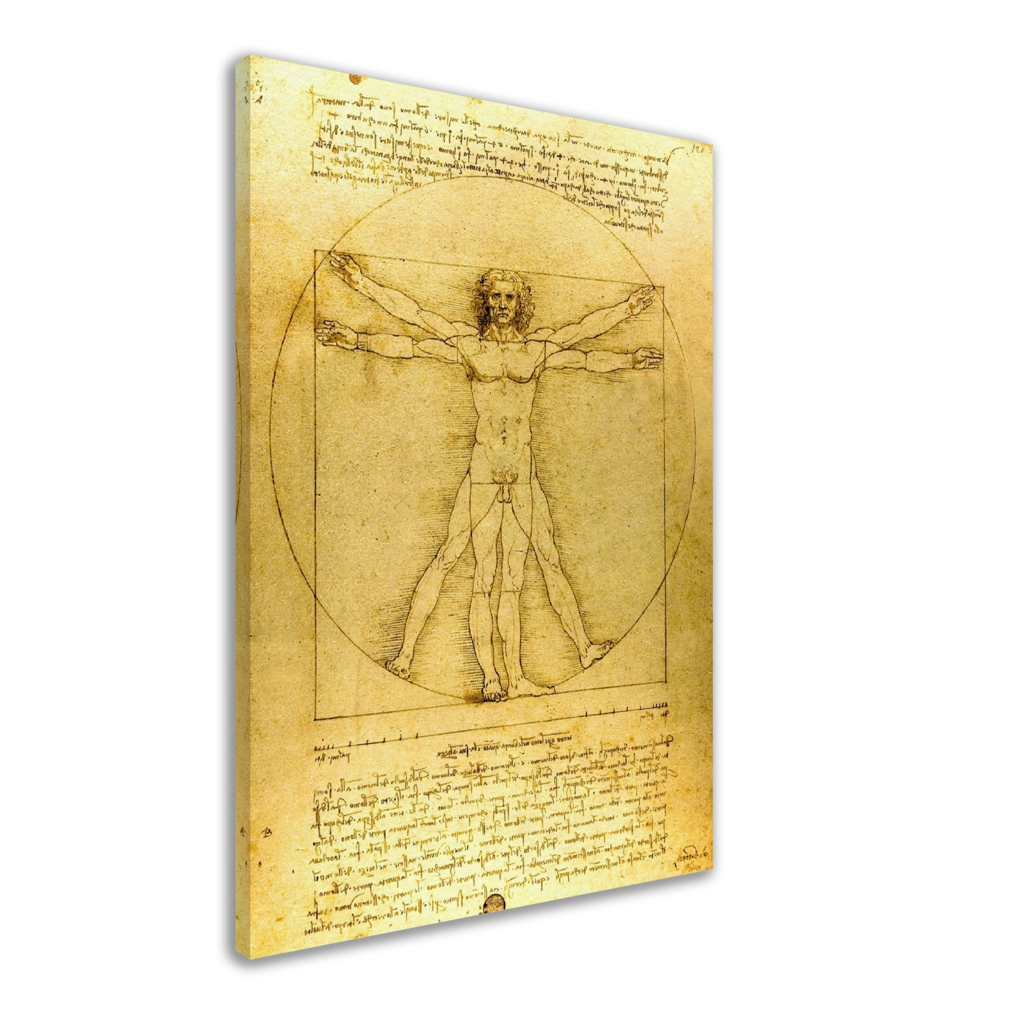 Vitruvian Man Canvas Print, Leonardo Da Vinci 1490, Vintage Vitruvian Man Canvas Print - WallArtPrints4U