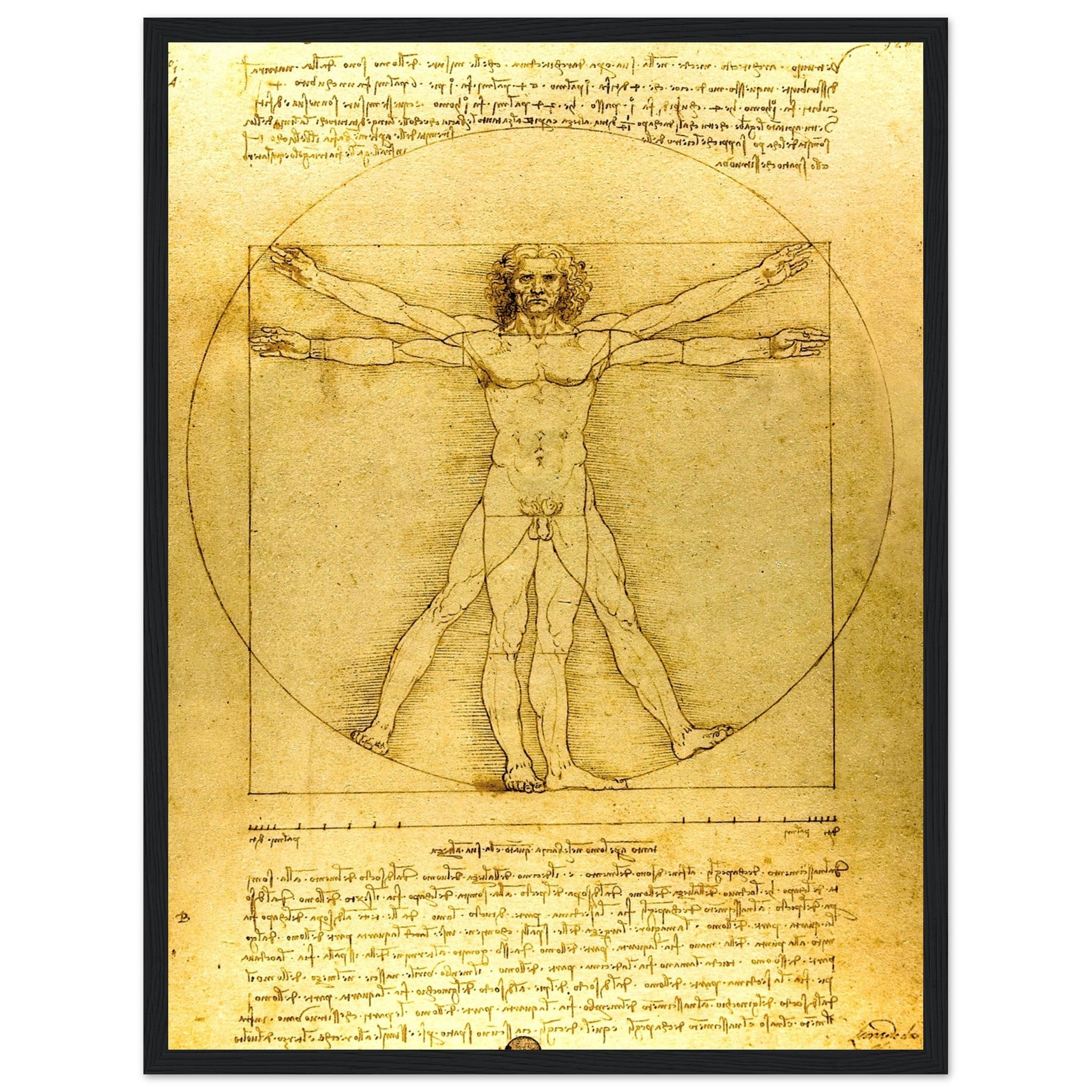 Vitruvian Man Framed Print, Leonardo Da Vinci 1490, Vintage Vitruvian Man Framed Print - WallArtPrints4U