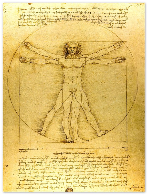 Vitruvian Man Print, Leonardo Da Vinci 1490, Vintage Vitruvian Man Poster Print - WallArtPrints4U