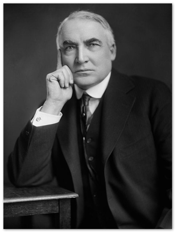 Warren Harding Poster, 29th President Of These United States, Vintage Photo Portrait - Warren Harding Print - WallArtPrints4U