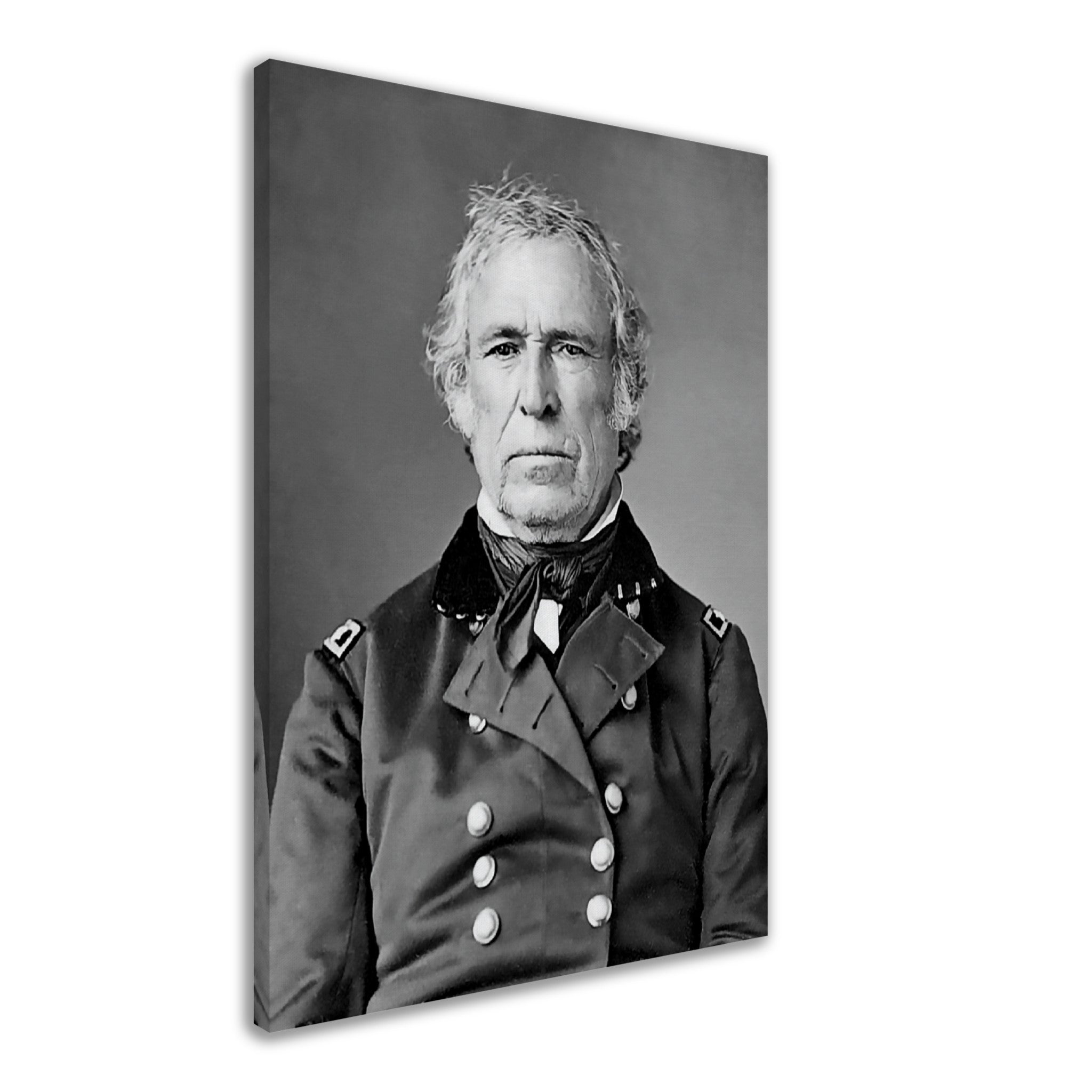 Zachary Taylor Canvas, 12th President Of Usa, Vintage Portrait - Zachary Taylor Canvas Print - WallArtPrints4U