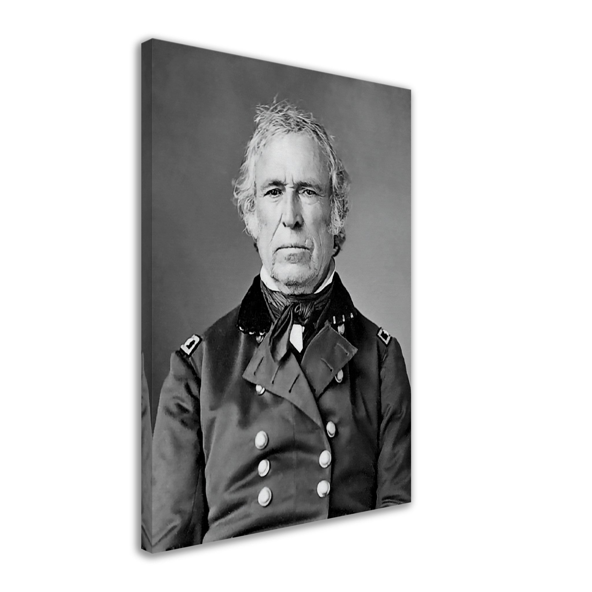 Zachary Taylor Canvas, 12th President Of Usa, Vintage Portrait - Zachary Taylor Canvas Print - WallArtPrints4U