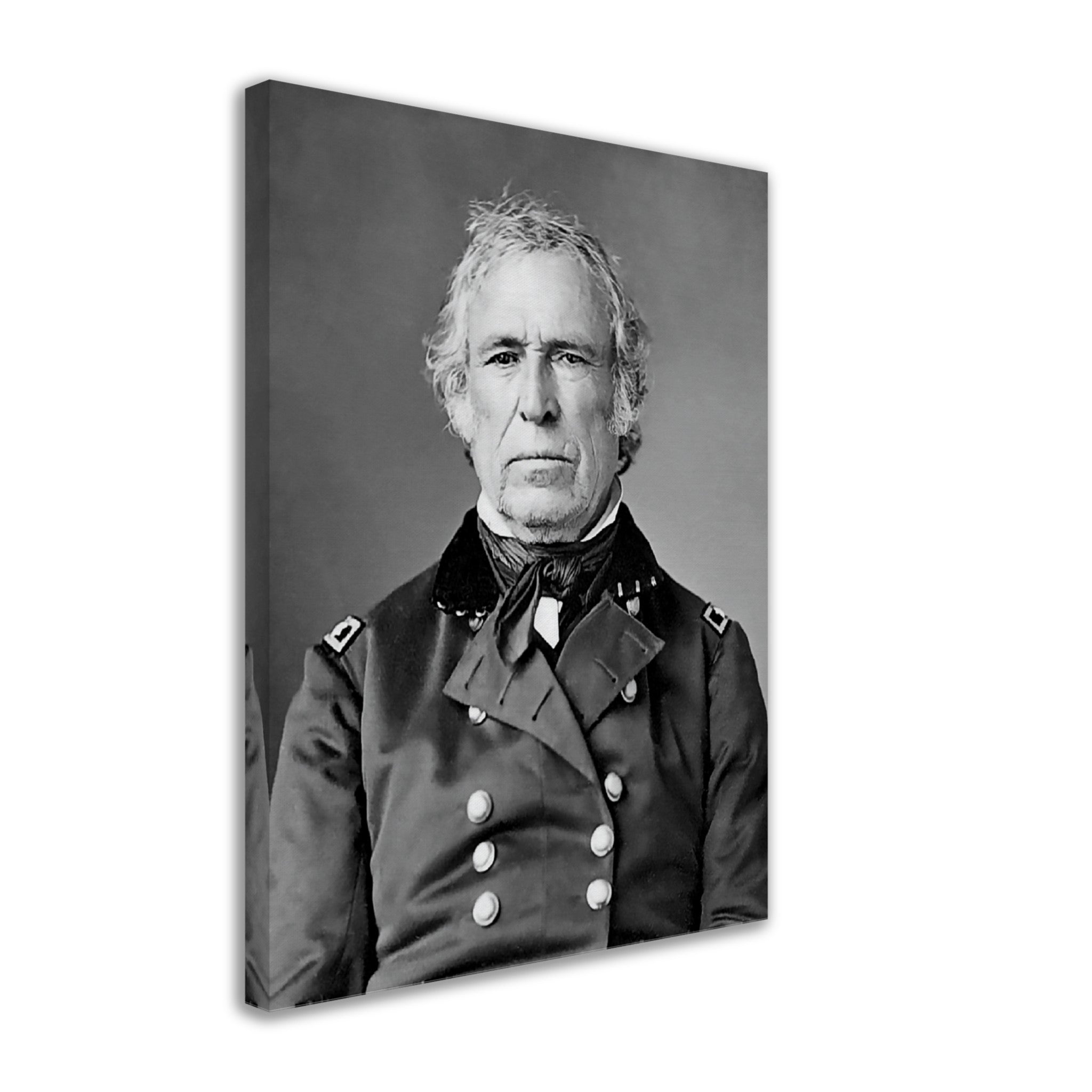 Zachary Taylor Canvas, 12th President Of Usa, Vintage Portrait - Zachary Taylor Canvas Print - WallArtPrints4U