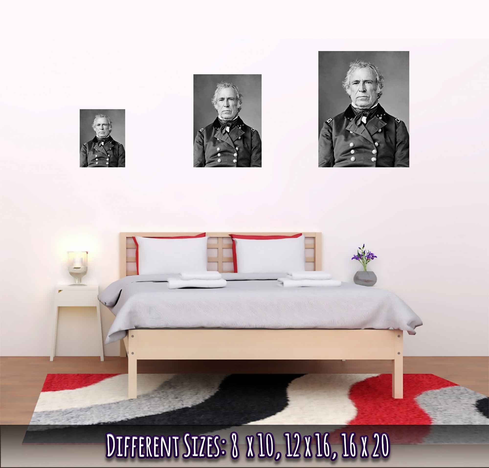 Zachary Taylor Poster, 12th President Of Usa, Vintage Portrait - Zachary Taylor Print - WallArtPrints4U