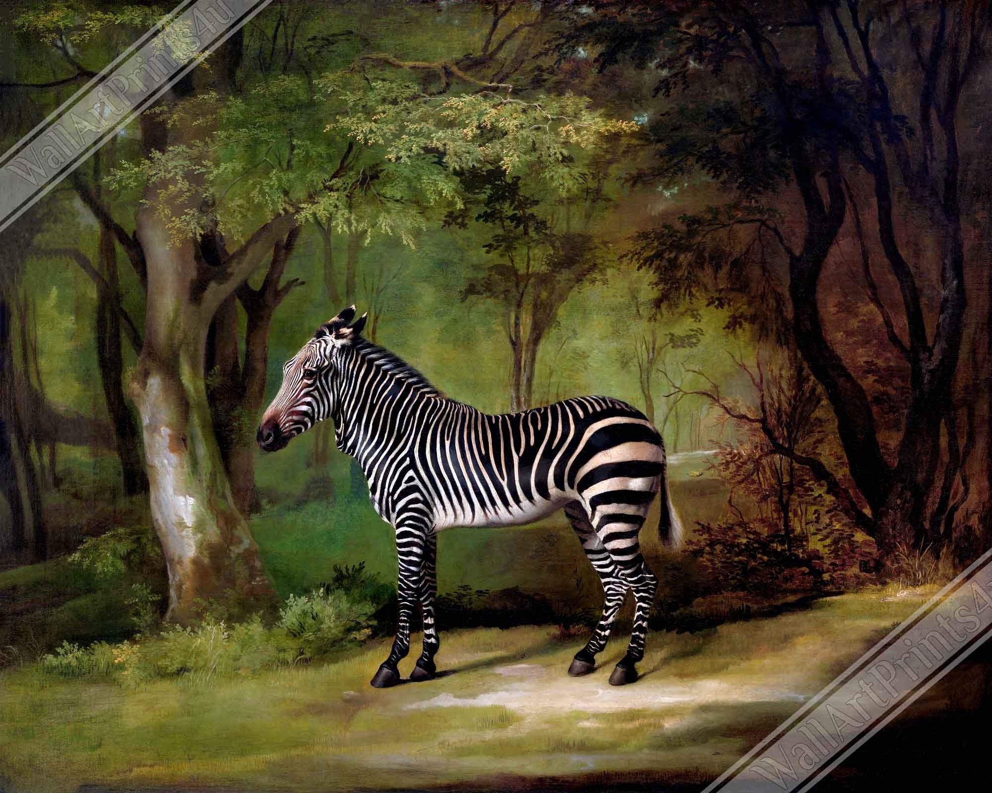 Zebra Framed, Vintage Zebra Art - Vintage Zebra Framed Print - WallArtPrints4U