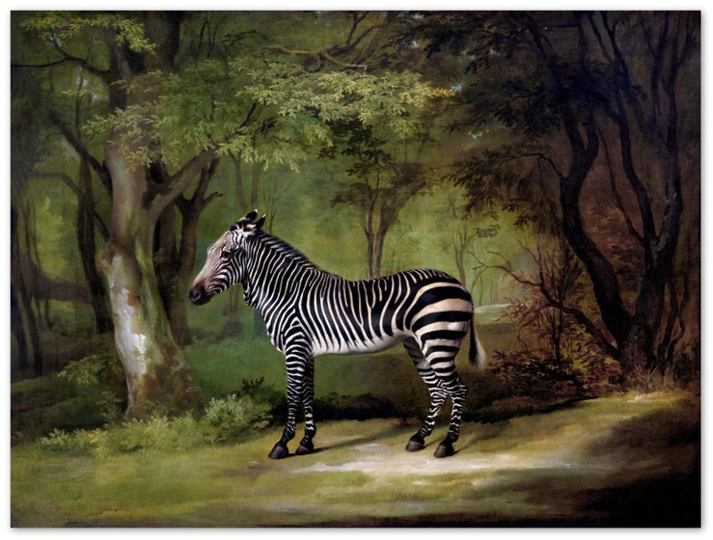 Zebra Poster, Vintage Zebra Art - Vintage Zebra Print - WallArtPrints4U