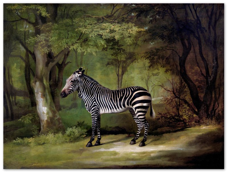 Zebra Poster, Vintage Zebra Art - Vintage Zebra Print - WallArtPrints4U