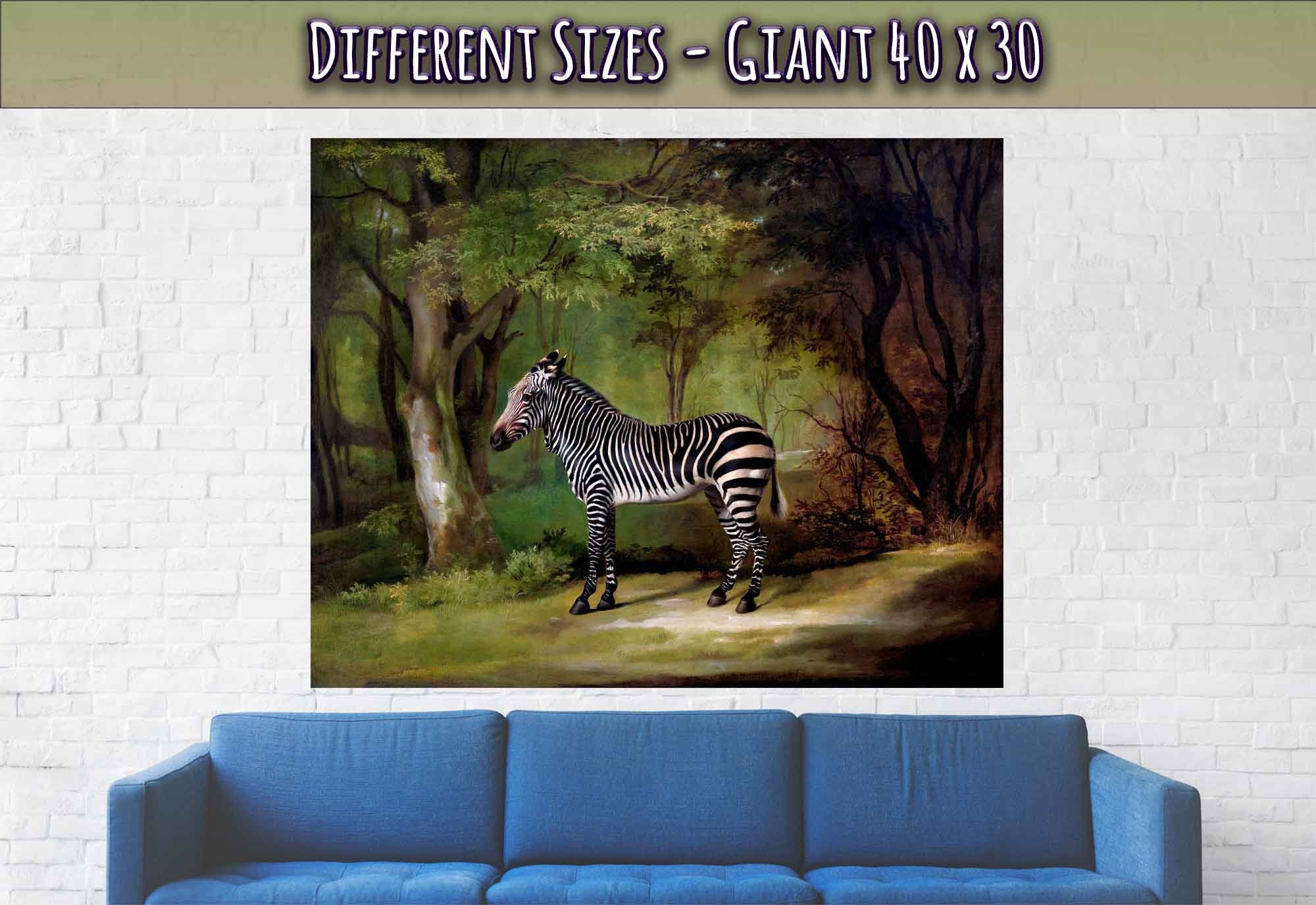 Zebra Poster, Vintage Zebra Art - Vintage Zebra Print - WallArtPrints4U